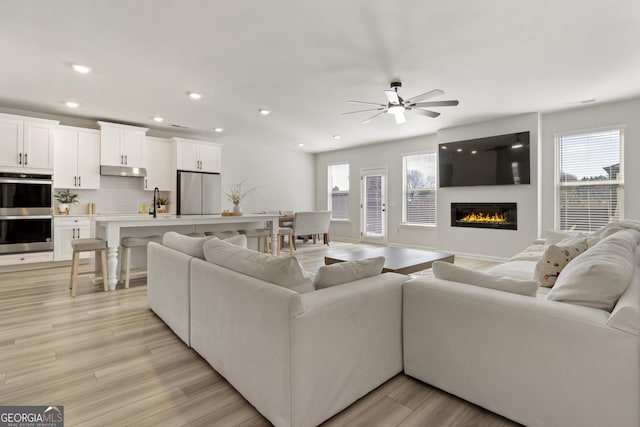 living room featuring a healthy amount of sunlight, light wood-style floors, and a glass covered fireplace