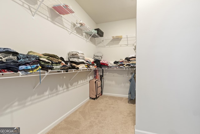 spacious closet featuring light colored carpet