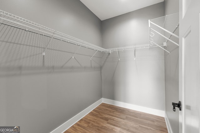 walk in closet with wood finished floors