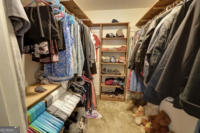 spacious closet featuring carpet