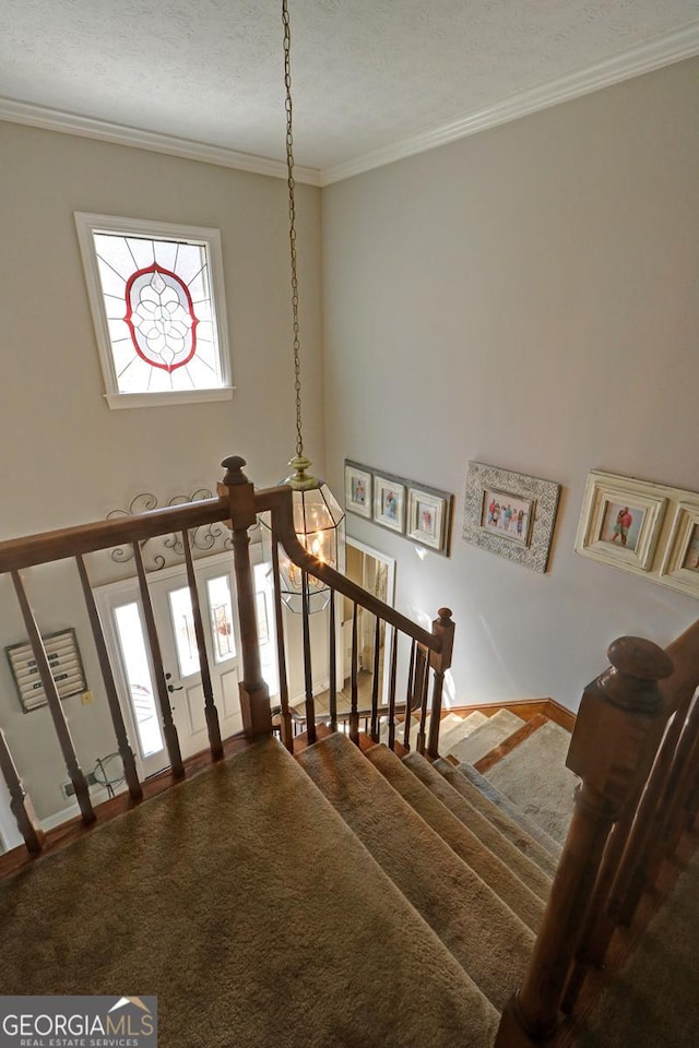 staircase featuring ornamental molding, carpet, baseboards, and a high ceiling