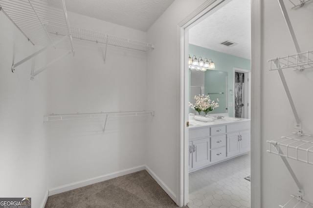 spacious closet with visible vents, a sink, and carpet flooring