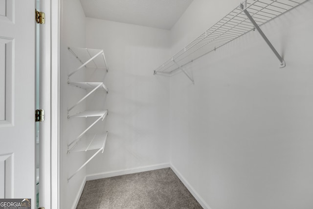 spacious closet with carpet