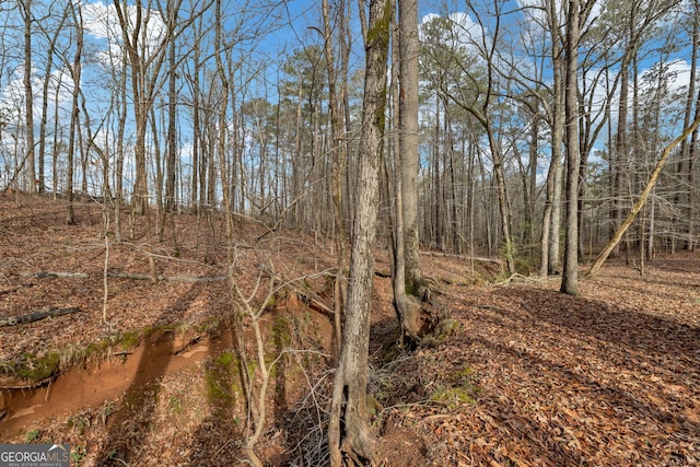 view of landscape