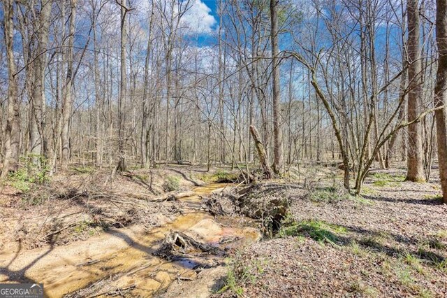 view of local wilderness with a wooded view