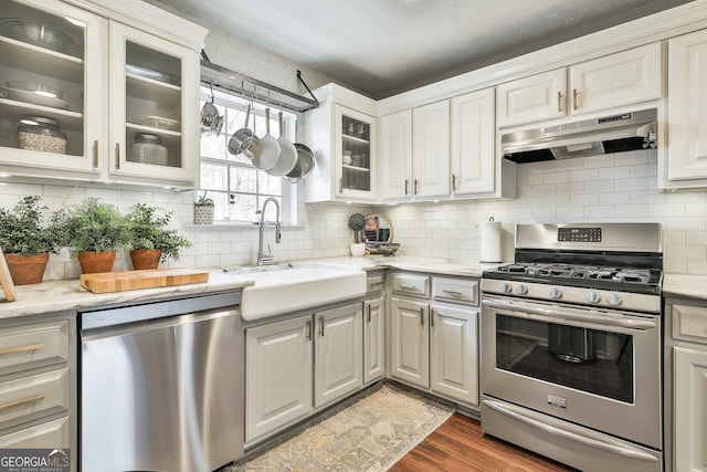 kitchen featuring dark wood-style flooring, a sink, stainless steel appliances, under cabinet range hood, and backsplash