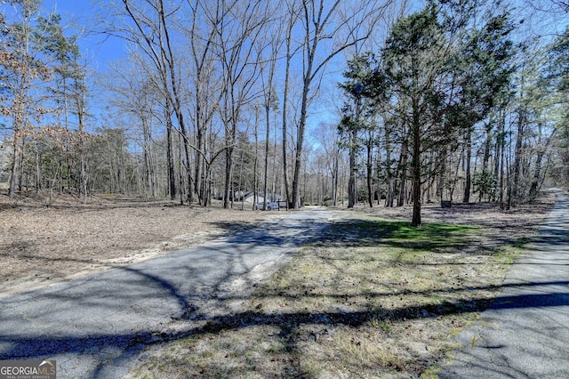 view of road with a forest view