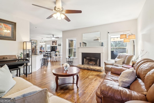 living room with a ceiling fan, a fireplace with raised hearth, and wood finished floors