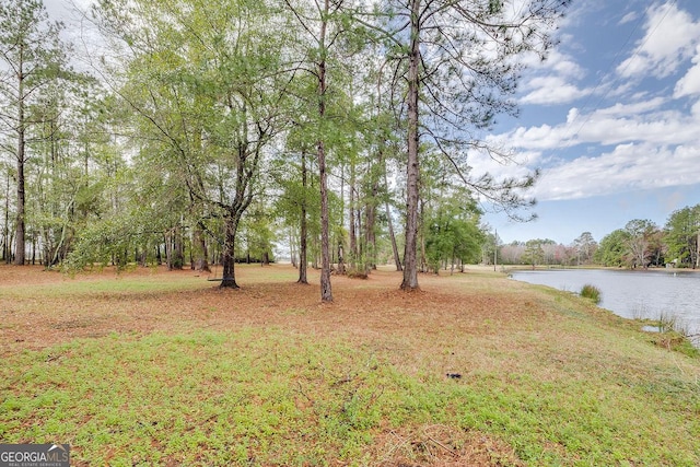 view of yard featuring a water view