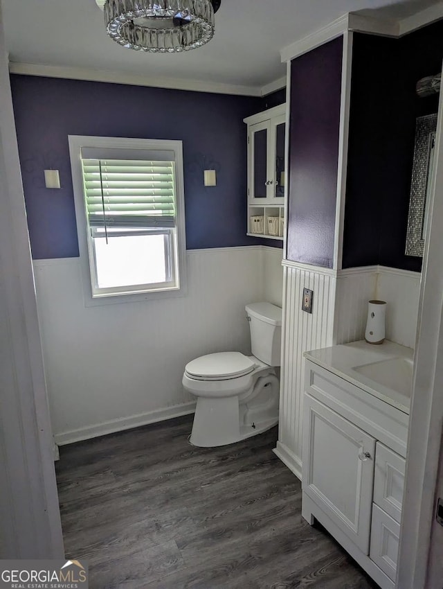 bathroom with wainscoting, vanity, toilet, and wood finished floors