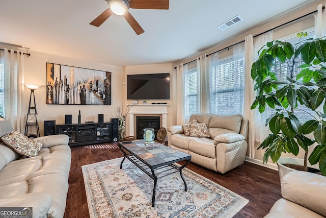 living room with a glass covered fireplace, visible vents, ceiling fan, and wood finished floors