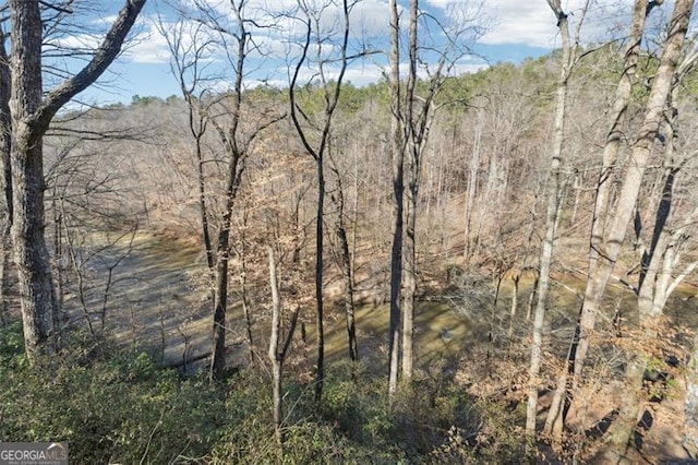 view of landscape featuring a wooded view