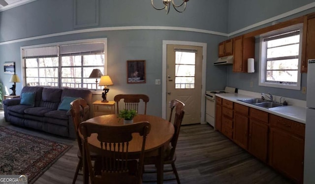 kitchen with white appliances, dark wood-style flooring, a sink, extractor fan, and brown cabinets