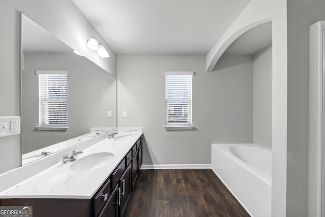 bathroom with a healthy amount of sunlight, a sink, and wood finished floors