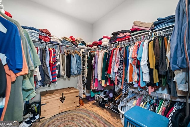 125 Grand Cir, Jasper, GA 30143 - spacious closet with wood finished floors