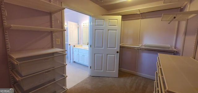 2899 Greystone Cv N, Atlanta, GA 30341 - spacious closet with carpet flooring