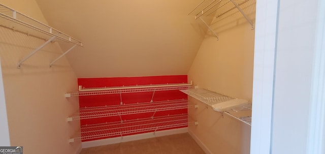2899 Greystone Cv N, Atlanta, GA 30341 - spacious closet featuring lofted ceiling