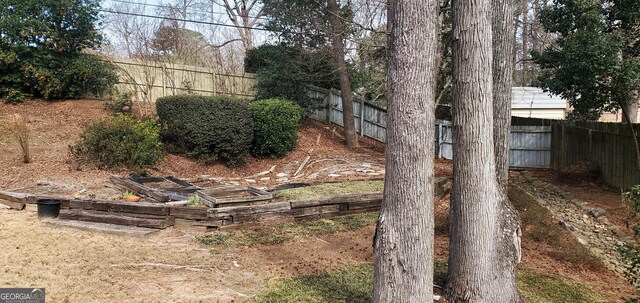 2899 Greystone Cv N, Atlanta, GA 30341 - view of fenced yard