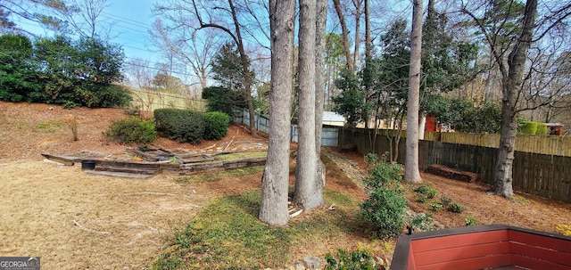 2899 Greystone Cv N, Atlanta, GA 30341 - view of fenced backyard