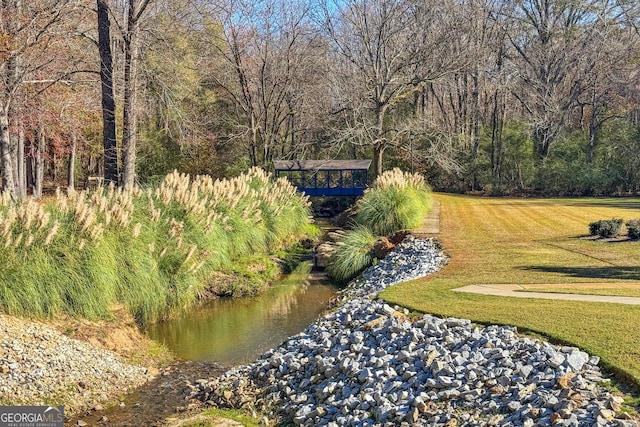 view of yard with a wooded view