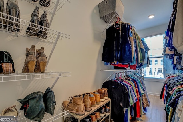 walk in closet featuring wood finished floors