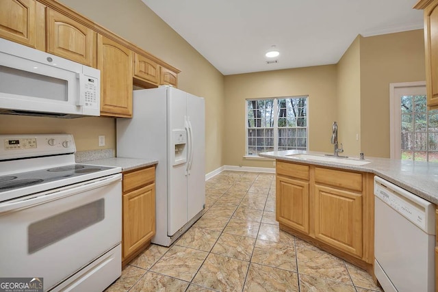 kitchen featuring white appliances, plenty of natural light, light countertops, and a sink