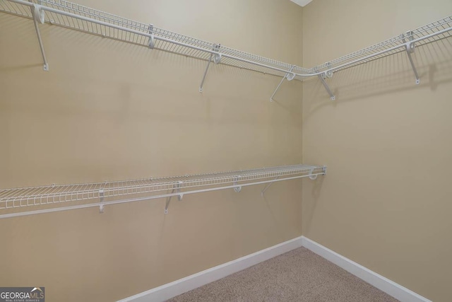 spacious closet featuring carpet flooring