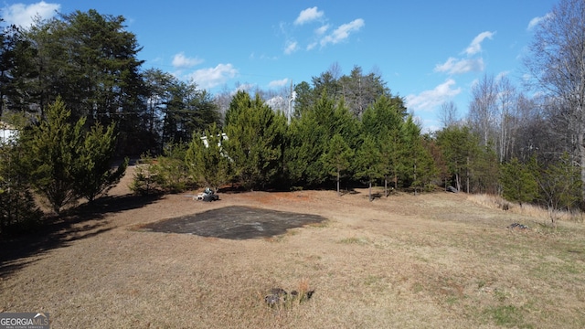 313 Nelms Rd, Cleveland GA, 30528 land for sale