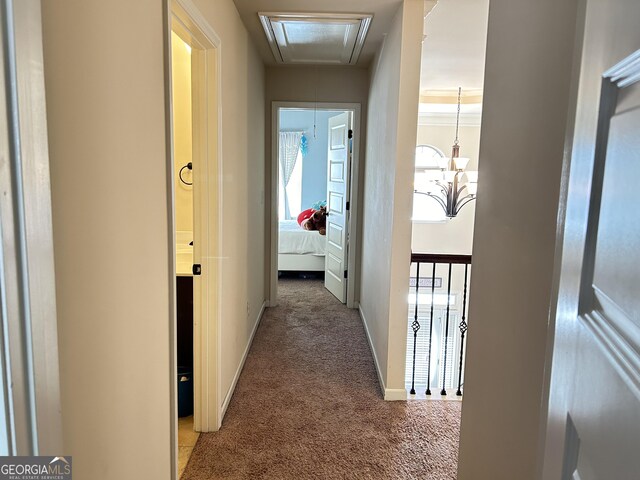 hall featuring baseboards, carpet floors, attic access, and plenty of natural light