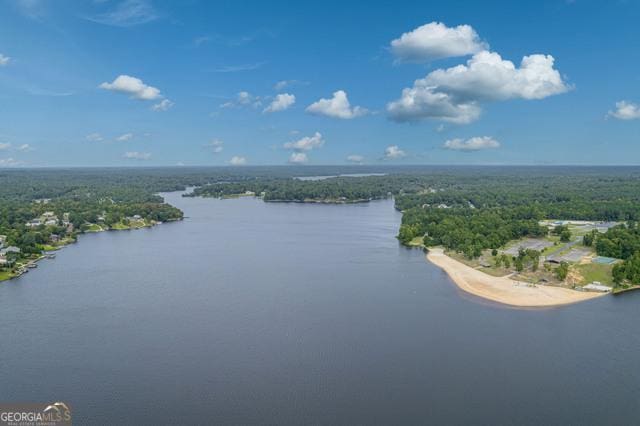 birds eye view of property with a forest view and a water view