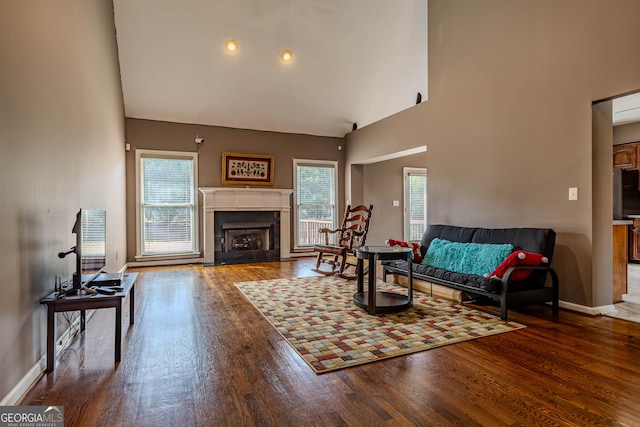 living area featuring a healthy amount of sunlight, a fireplace, high vaulted ceiling, and wood finished floors