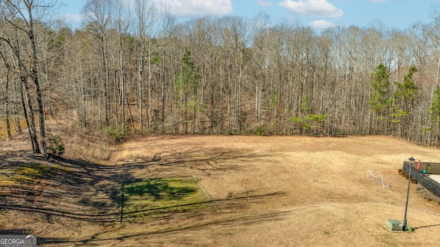 view of yard featuring a wooded view