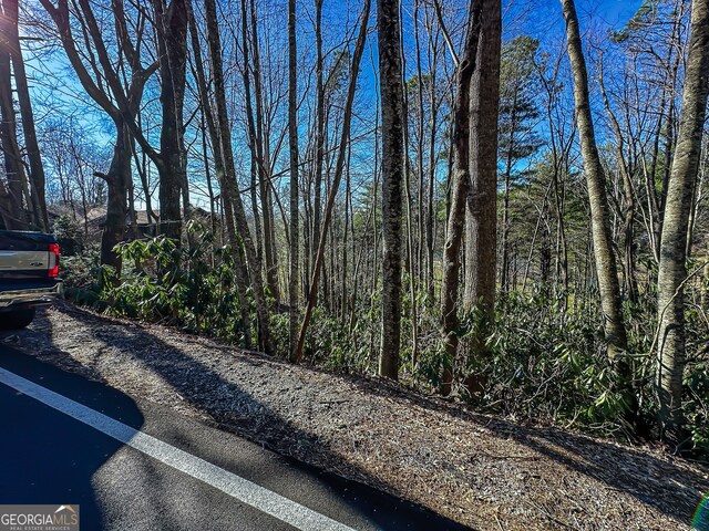 LOT1 Ridgepole Dr, Sky Valley, GA 30537
