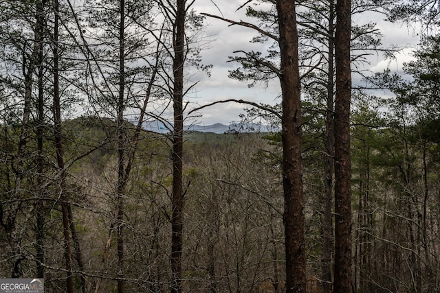 view of local wilderness with a mountain view and a view of trees