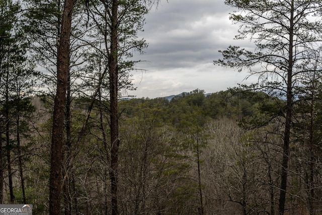 view of nature with a forest view
