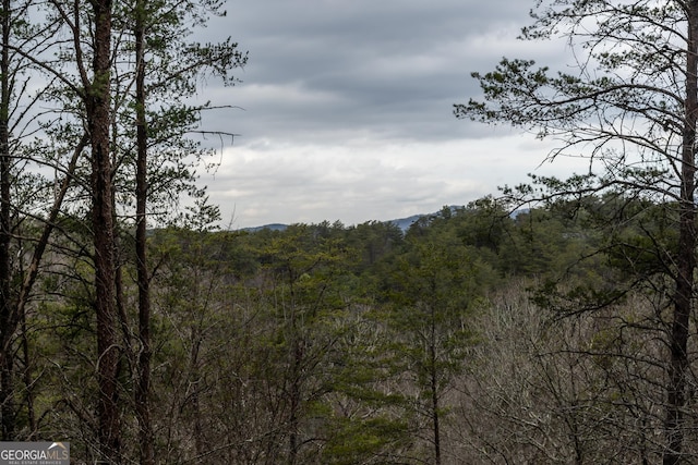view of landscape featuring a view of trees