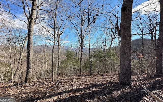 0 Clark Dr, Hiawassee GA, 30546 land for sale