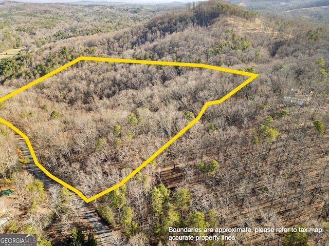 0 N Bull Gap Rd, Talking Rock GA, 30175 land for sale