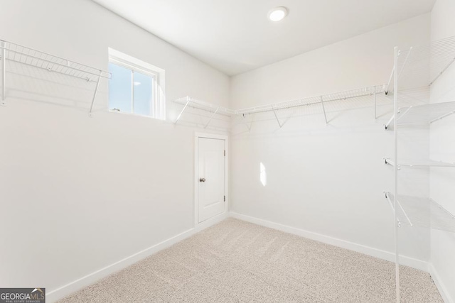 spacious closet featuring carpet flooring