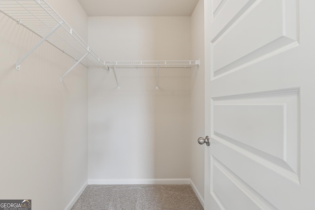 walk in closet featuring carpet floors