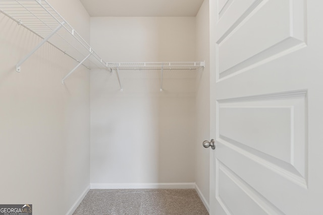 3243 Shoals Park Dr, Decatur, GA 30034 - walk in closet featuring carpet flooring