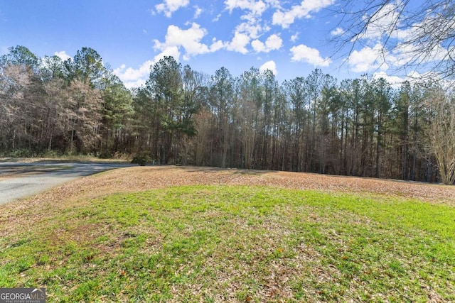 view of yard featuring a forest view