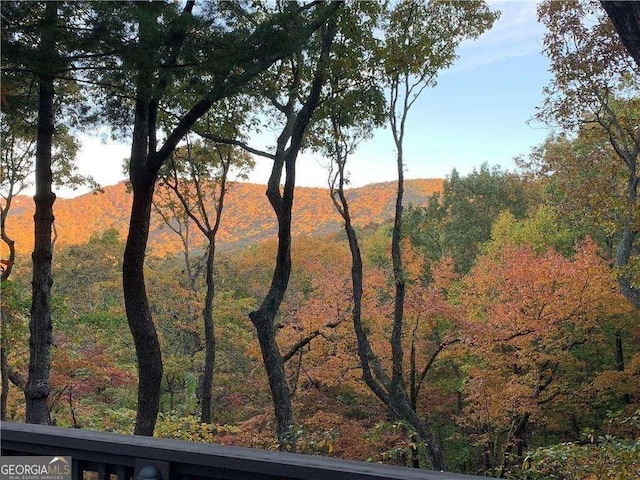 view of mountain feature featuring a wooded view