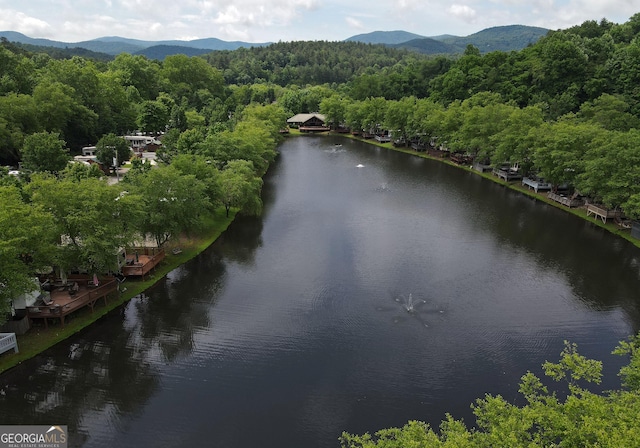 bird's eye view featuring a view of trees and a water and mountain view