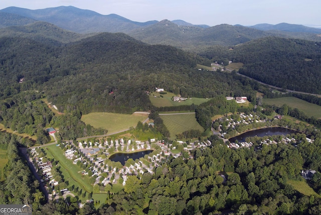 birds eye view of property with a view of trees and a water and mountain view