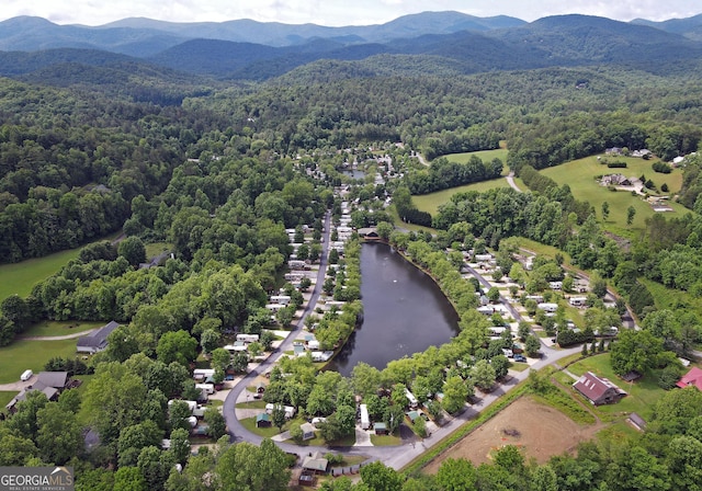 birds eye view of property featuring a forest view and a water and mountain view