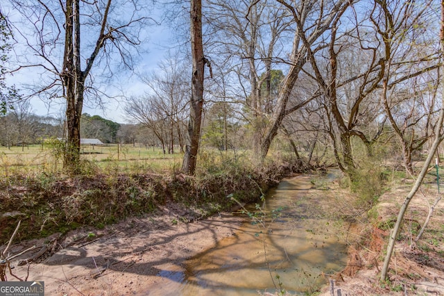 view of local wilderness