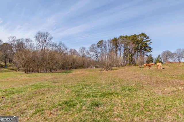 view of yard featuring a rural view