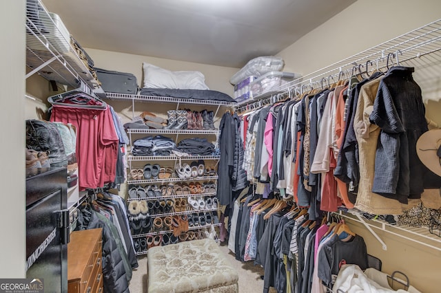 spacious closet featuring carpet