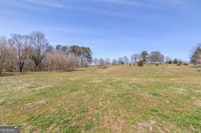 view of yard with a rural view